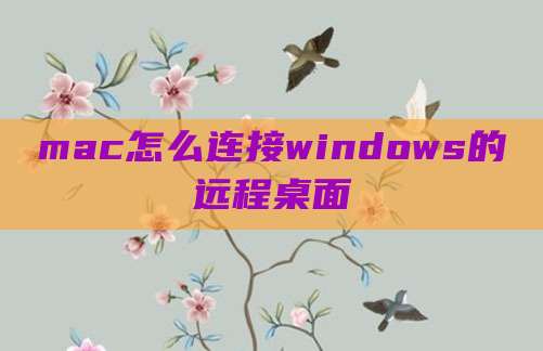mac怎么连接windows的远程桌面