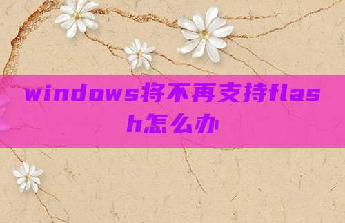 windows将不再支持flash怎么办