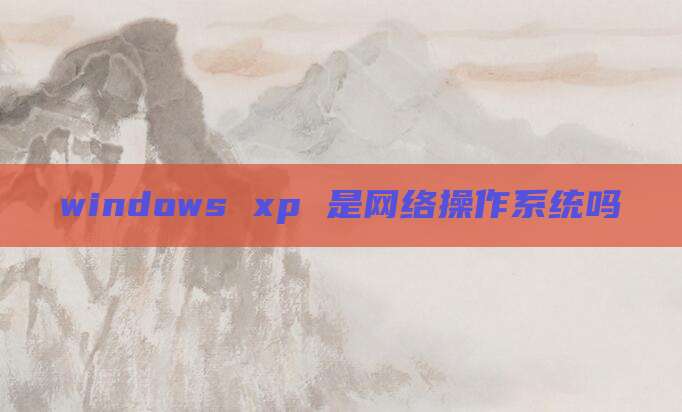 windows xp 是网络操作系统吗