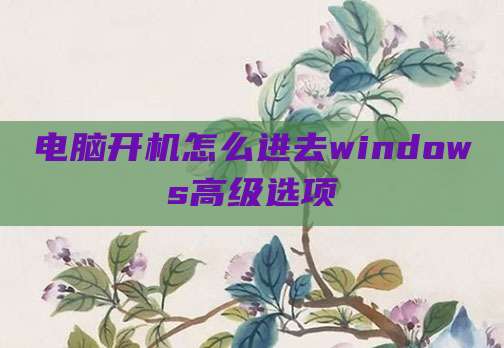 电脑开机怎么进去windows高级选项