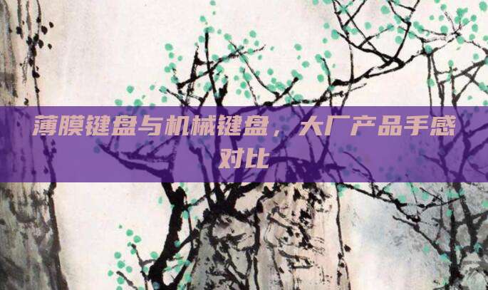 薄膜键盘与机械键盘，大厂产品手感对比