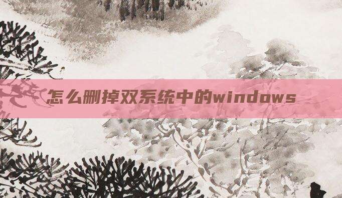 怎么删掉双系统中的windows