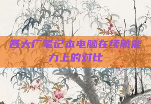 各大厂笔记本电脑在续航能力上的对比