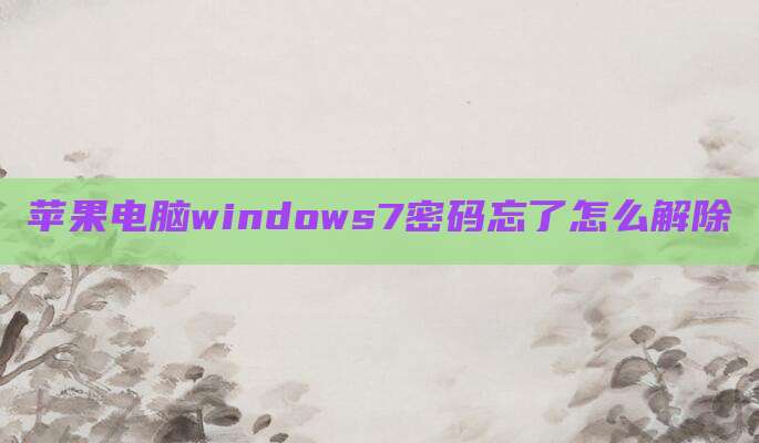 苹果电脑windows7密码忘了怎么解除