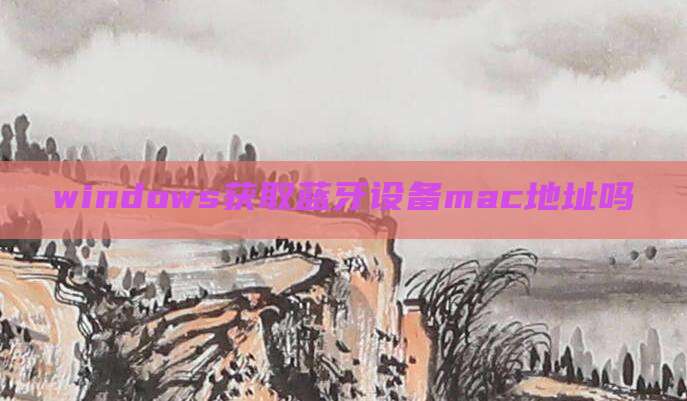 windows获取蓝牙设备mac地址吗