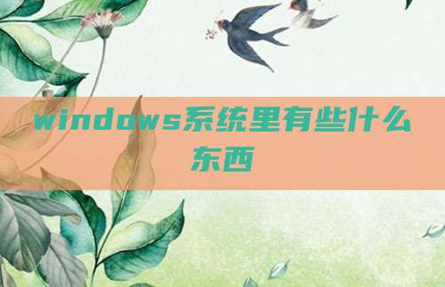 windows系统里有些什么东西