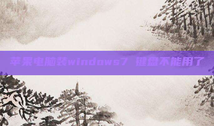 苹果电脑装windows7 键盘不能用了