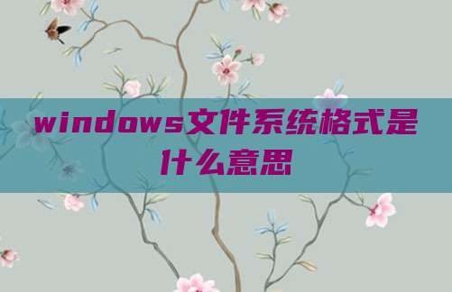 windows文件系统格式是什么意思