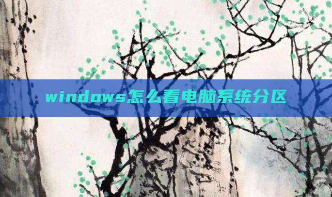 windows怎么看电脑系统分区