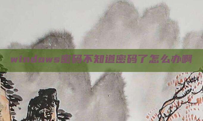 windows密码不知道密码了怎么办啊