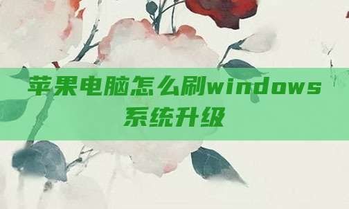 苹果电脑怎么刷windows系统升级