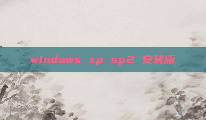 windows xp sp2 安装版