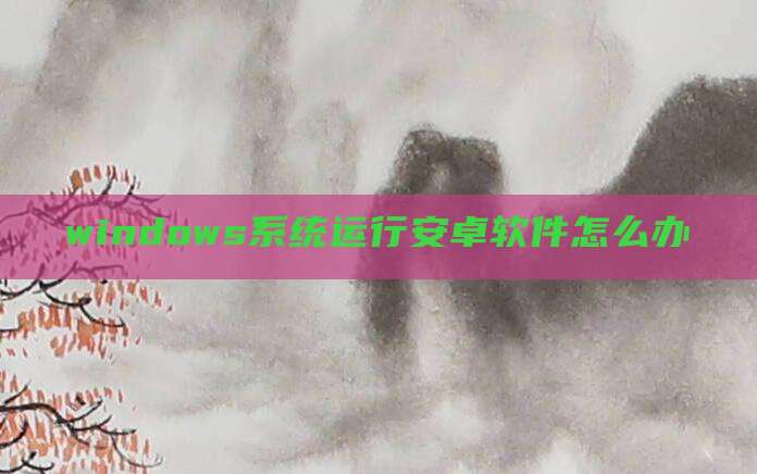 windows系统运行安卓软件怎么办