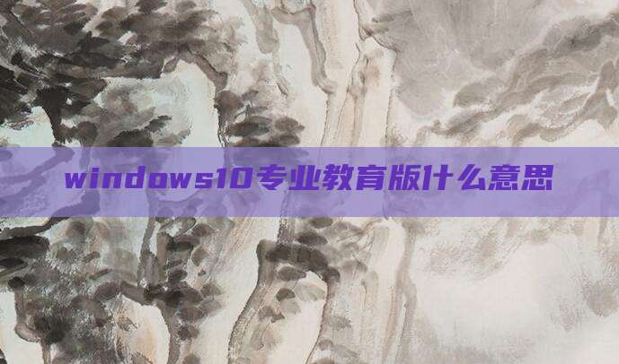 windows10专业教育版什么意思