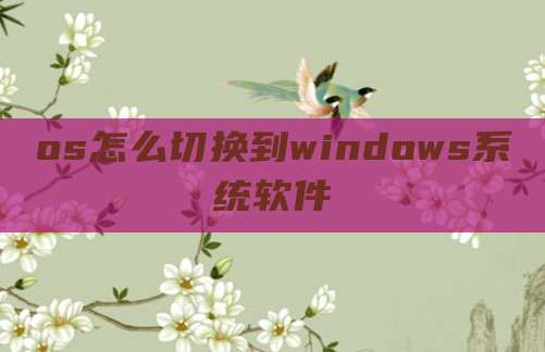 os怎么切换到windows系统软件
