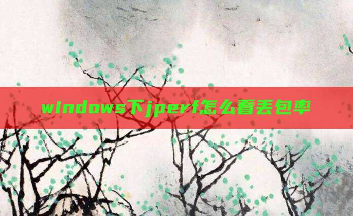 windows下jperf怎么看丢包率