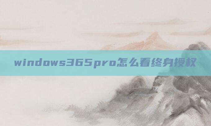 windows365pro怎么看终身授权