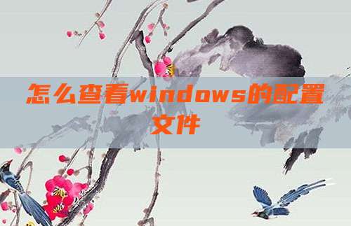 怎么查看windows的配置文件