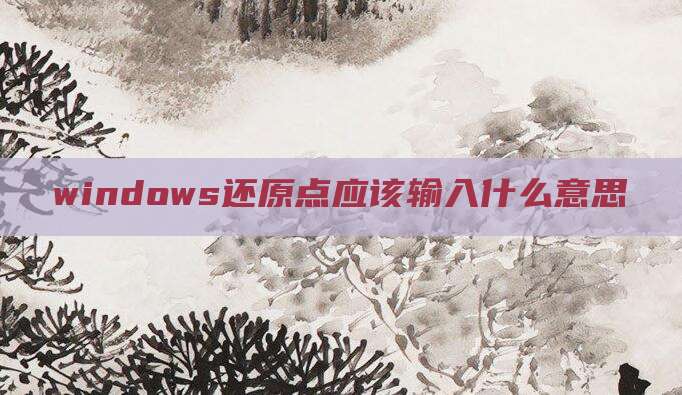 windows还原点应该输入什么意思