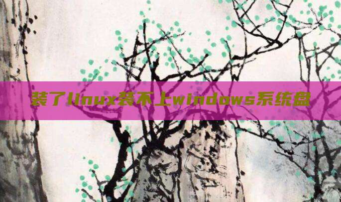 装了linux装不上windows系统盘