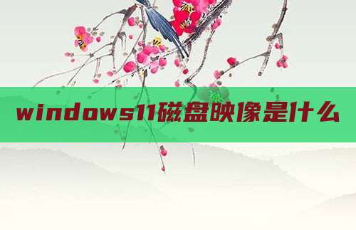 windows11磁盘映像是什么