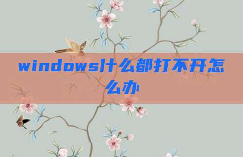 windows什么都打不开怎么办