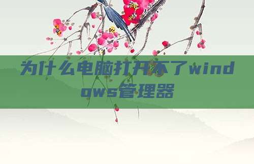 为什么电脑打开不了windows管理器