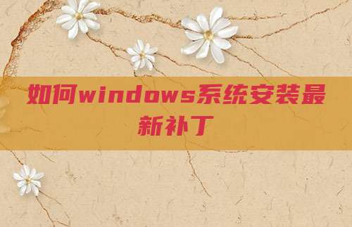 如何windows系统安装最新补丁
