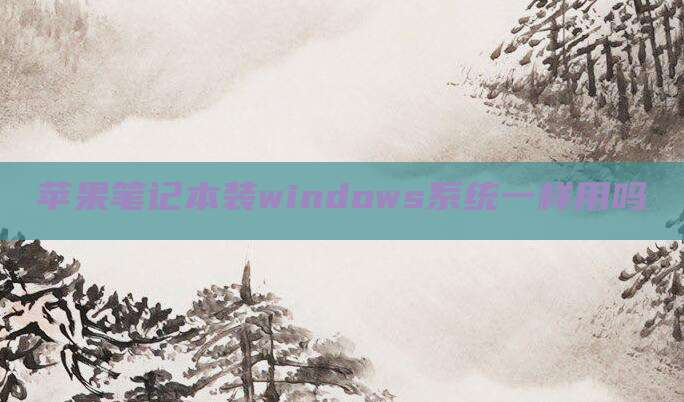 苹果笔记本装windows系统一样用吗
