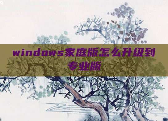 windows家庭版怎么升级到专业版