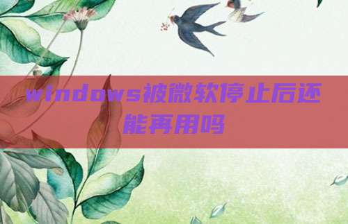 windows被微软停止后还能再用吗