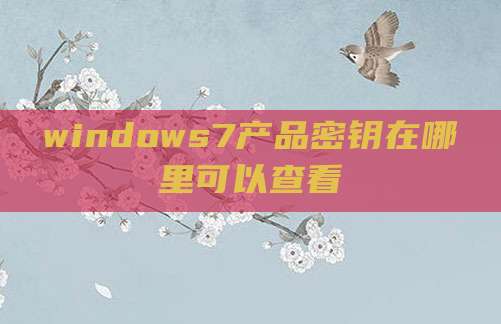 windows7产品密钥在哪里可以查看