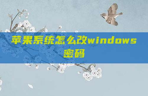 苹果系统怎么改windows密码