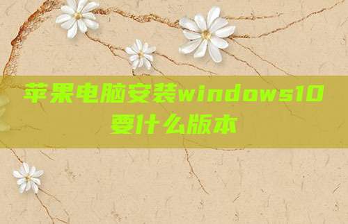 苹果电脑安装windows10要什么版本
