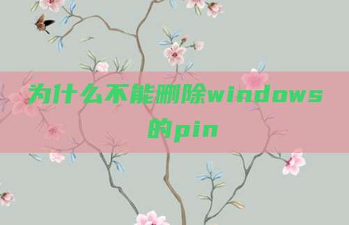为什么不能删除windows 的pin