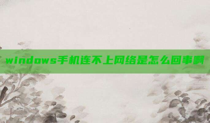windows手机连不上网络是怎么回事啊