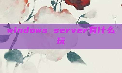 windows server有什么玩