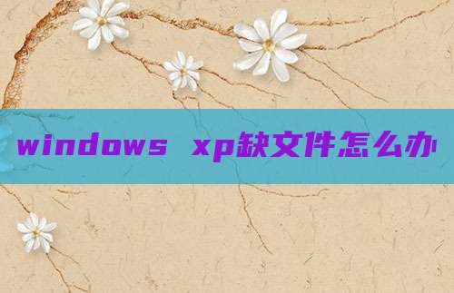 windows xp缺文件怎么办