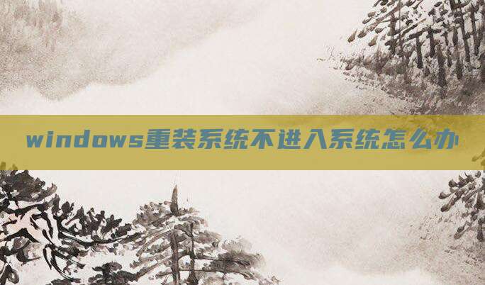 windows重装系统不进入系统怎么办