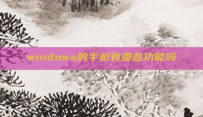 windows的手机有哪些功能吗