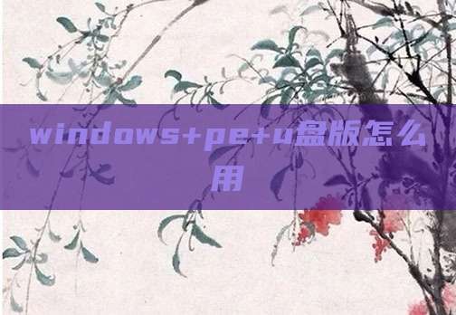 windows+pe+u盘版怎么用