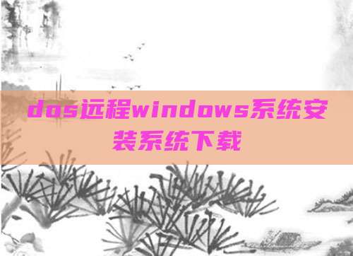 dos远程windows系统安装系统下载