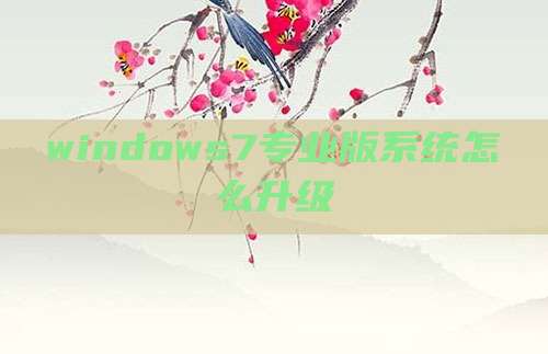 windows7专业版系统怎么升级