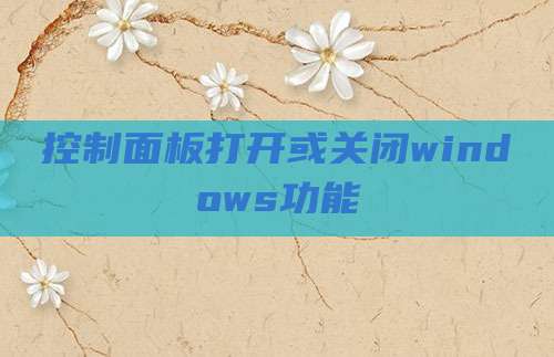 控制面板打开或关闭windows功能