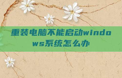重装电脑不能启动windows系统怎么办