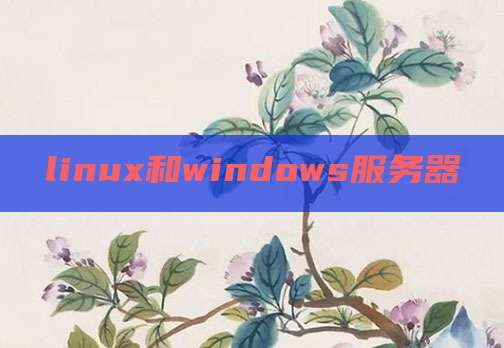 linux和windows服务器