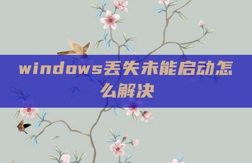 windows丢失未能启动怎么解决