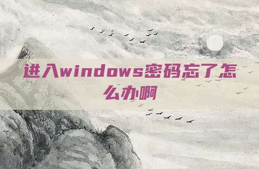 进入windows密码忘了怎么办啊