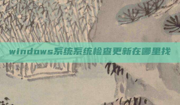 windows系统系统检查更新在哪里找