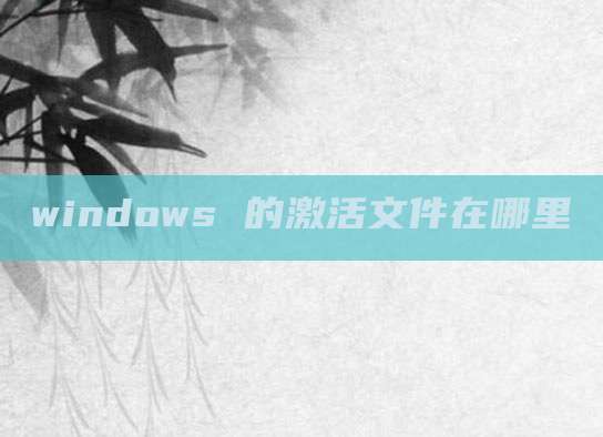 windows 的激活文件在哪里